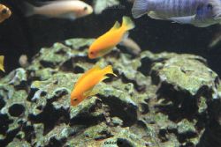 duesseldorf-aquazoo-171