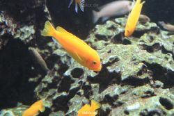 duesseldorf-aquazoo-172