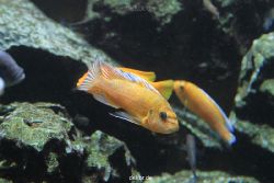 duesseldorf-aquazoo-177