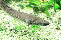 duesseldorf-aquazoo-178