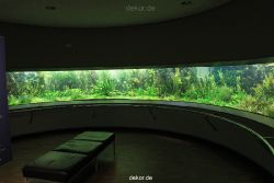duesseldorf-aquazoo-199