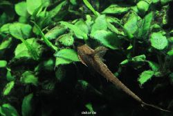 duesseldorf-aquazoo-205