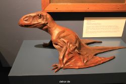 duesseldorf-aquazoo-232