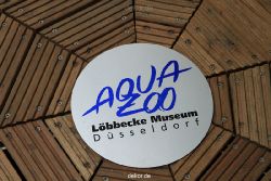 duesseldorf-aquazoo-235