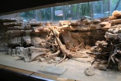 duesseldorf-aquazoo-238