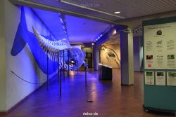 duesseldorf-aquazoo-252