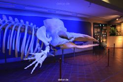 duesseldorf-aquazoo-253