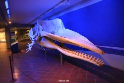 duesseldorf-aquazoo-254