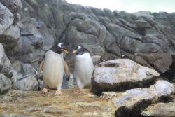 duesseldorf-aquazoo-261