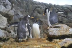 duesseldorf-aquazoo-265