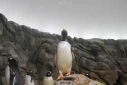 duesseldorf-aquazoo-266