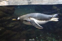 duesseldorf-aquazoo-267