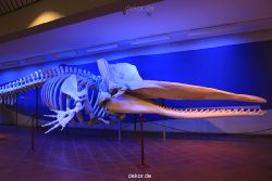duesseldorf-aquazoo-269