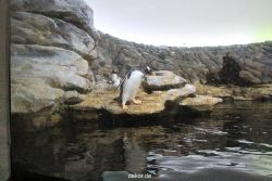 duesseldorf-aquazoo-270