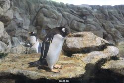 duesseldorf-aquazoo-271