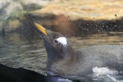 duesseldorf-aquazoo-273