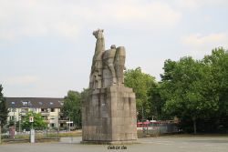 duesseldorf-aquazoo-277