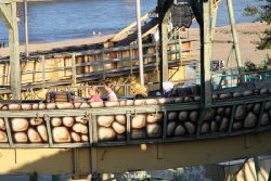 duesseldorf-rheinwiesen-kirmes-2010-015