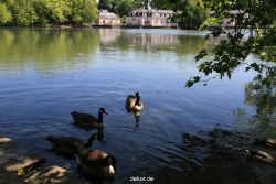 duesseldorf-schloss-benrath-tiere-015