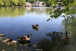 duesseldorf-schloss-benrath-tiere-016