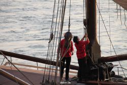 duesseldorf-segelschiff-helena-024