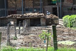 duisburg-landschaftspark-bauernhof-055