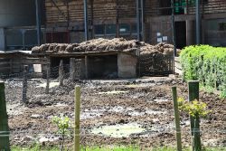 duisburg-landschaftspark-bauernhof-056