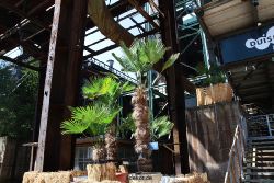 duisburg-landschaftspark-huettenwerk-060