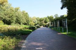 hamm-maximilianpark-080