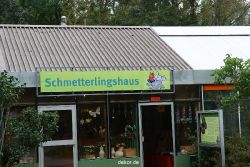hamm-maxipark-schmetterlingshaus-068