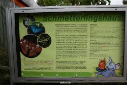 hamm-maxipark-schmetterlingshaus-069