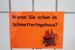 hamm-maxipark-schmetterlingshaus-070