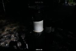 hamm-maxipark-skulpturen-035