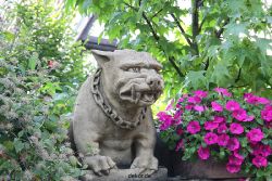 hattingen-altstadt-085