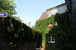 hattingen-altstadt-241