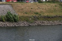 neuss-hafen-058