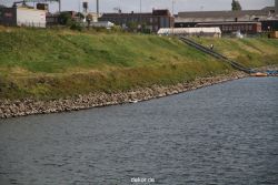 neuss-hafen-063