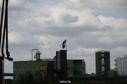 neuss-hafen-091