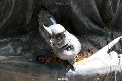 neuss-innenstadt-skulptur-016