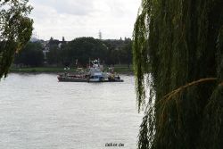 neuwied-ort-027