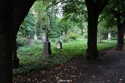 neuwied-ort-184