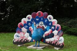 neuwied-ort-189