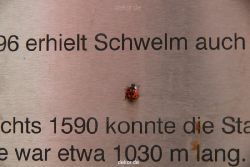 schwelm-brauerei-024