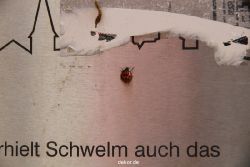 schwelm-brauerei-027