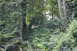 velbert-neviges-kreuzweg-043