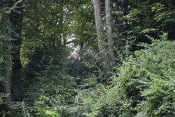 velbert-neviges-kreuzweg-044
