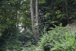 velbert-neviges-kreuzweg-045