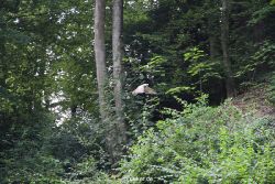 velbert-neviges-kreuzweg-046