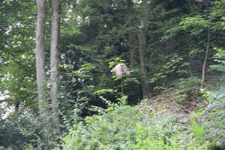 velbert-neviges-kreuzweg-048