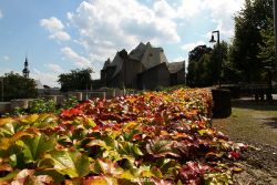 velbert-neviges-mariendom-005
